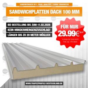 Sonderangebot Sandwichplatten Dach 100mm Grauweiß beidseitig